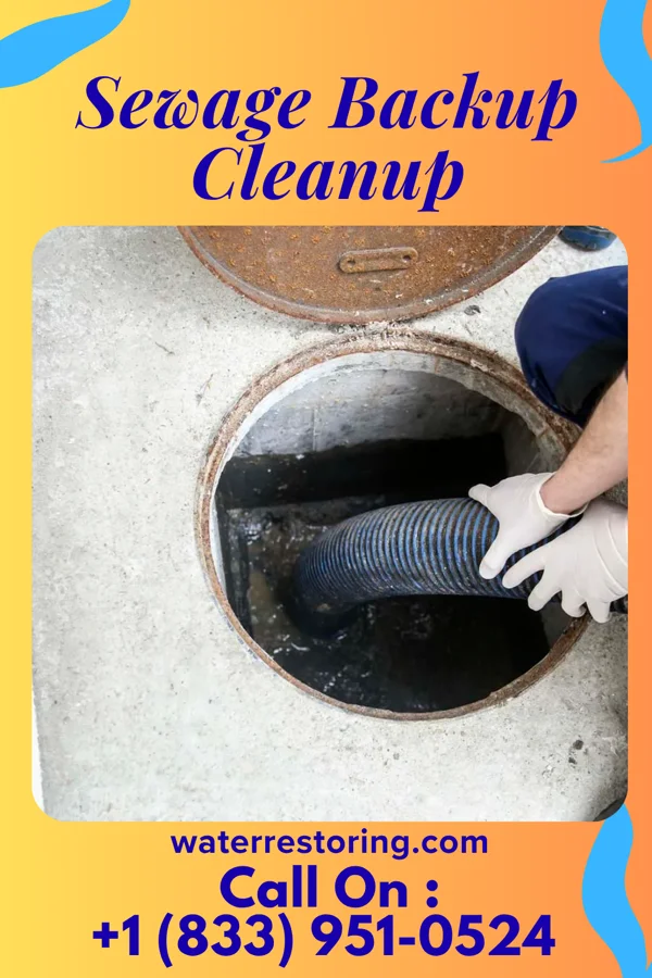 Sewage Backup Cleanup in Sautee-Nacoochee, GA